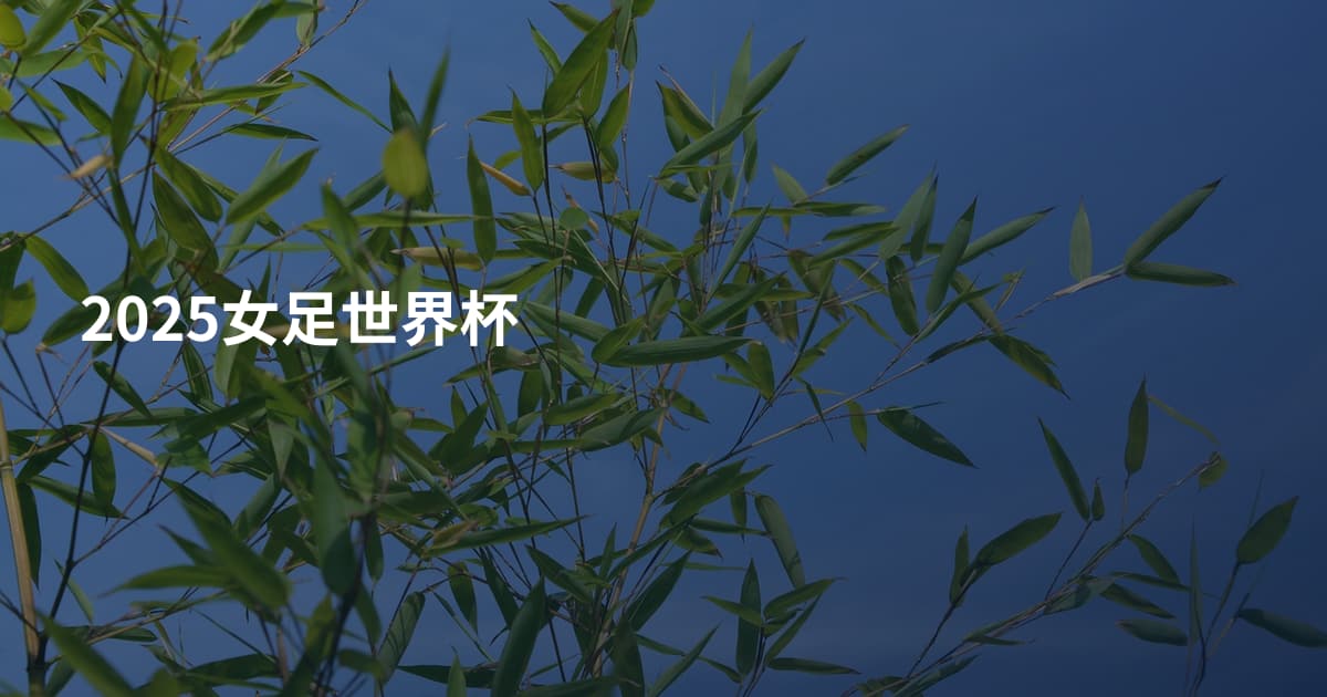 2025女足世界杯