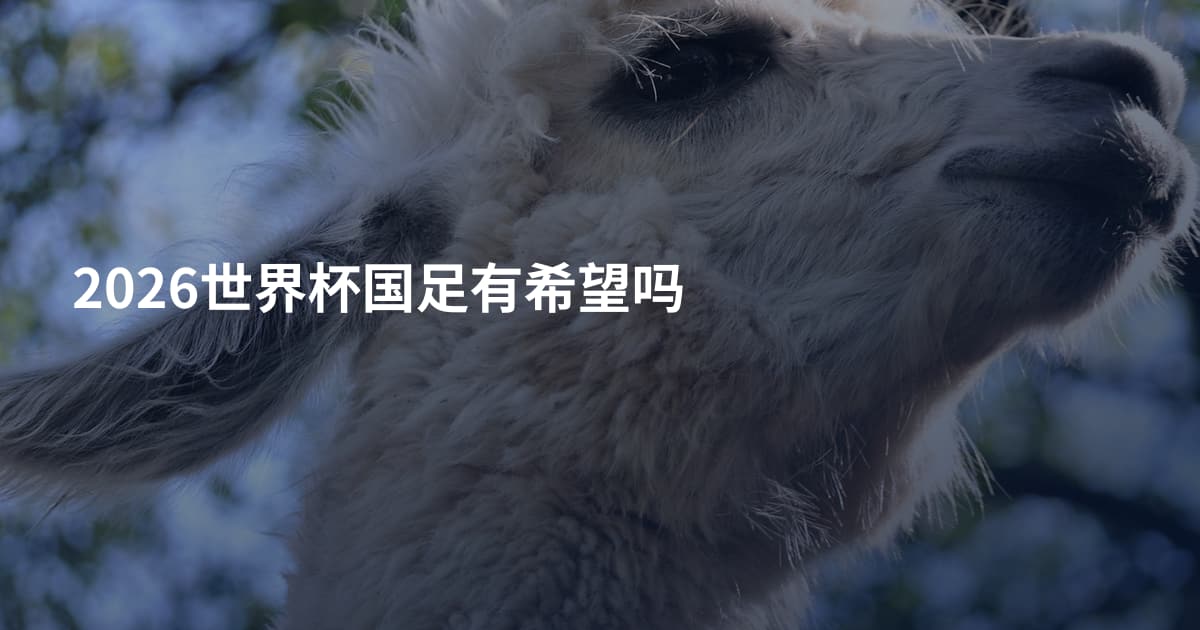 2026世界杯国足有希望吗