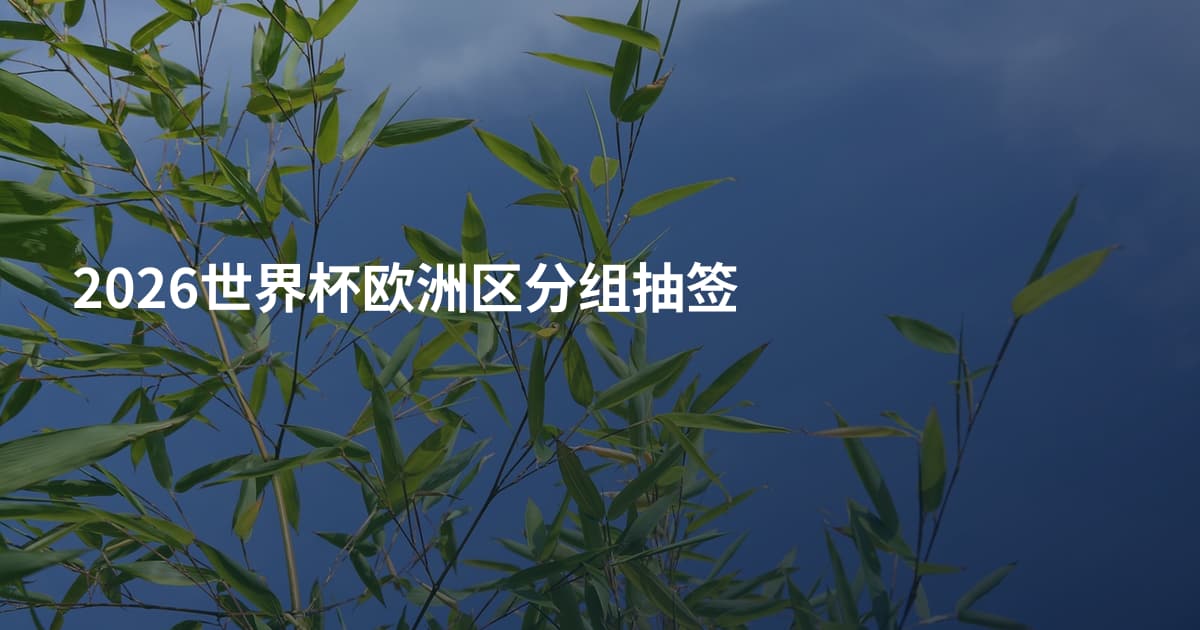 2026世界杯欧洲区分组抽签