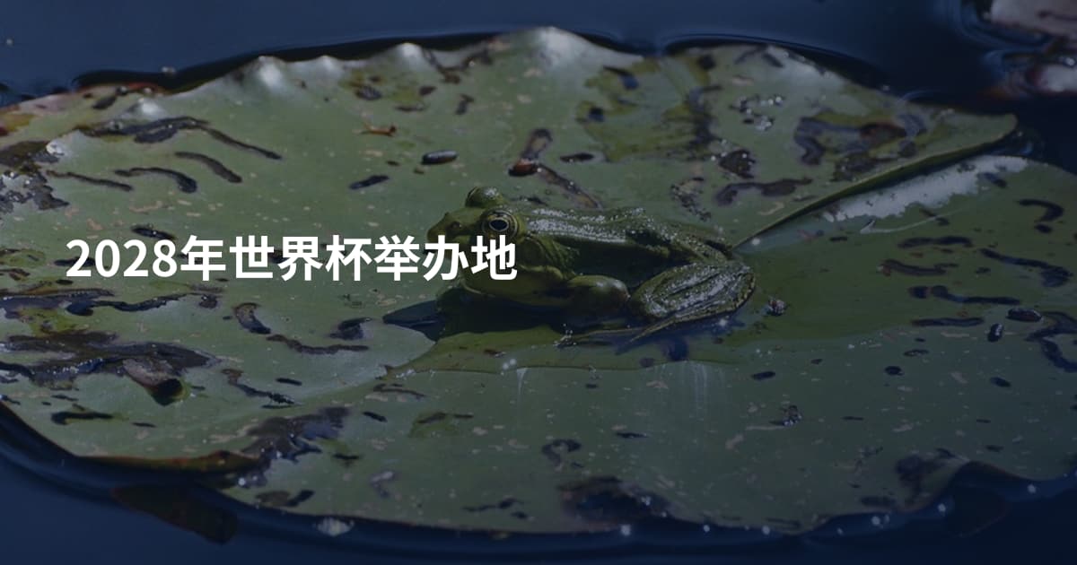 2028年世界杯举办地