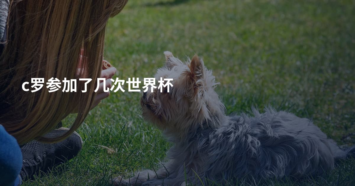 c罗参加了几次世界杯