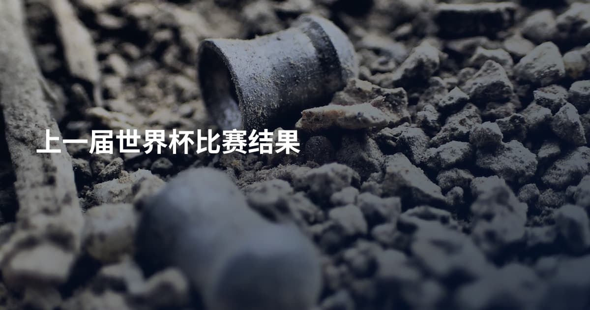 上一届世界杯比赛结果
