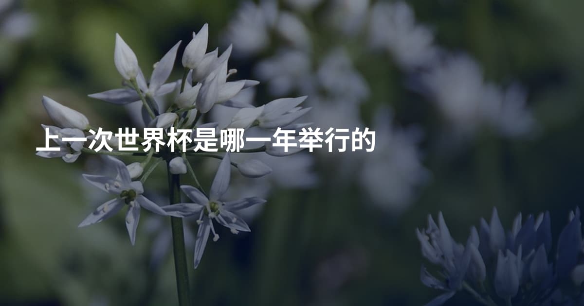 上一次世界杯是哪一年举行的