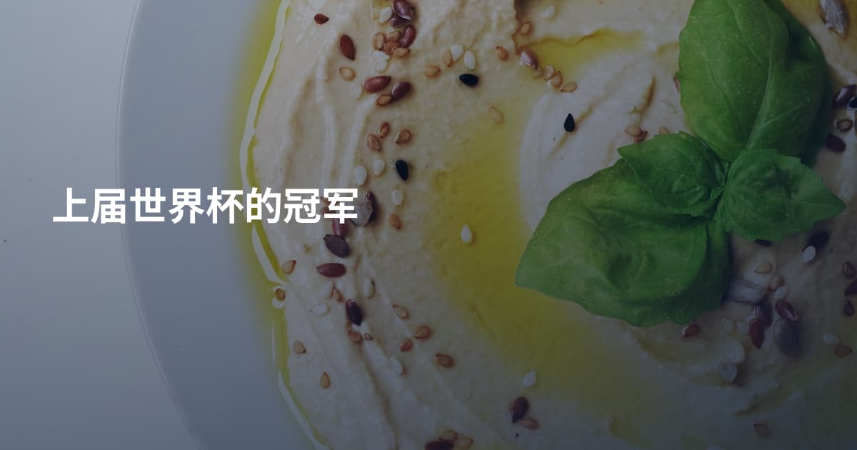 上届世界杯的冠军