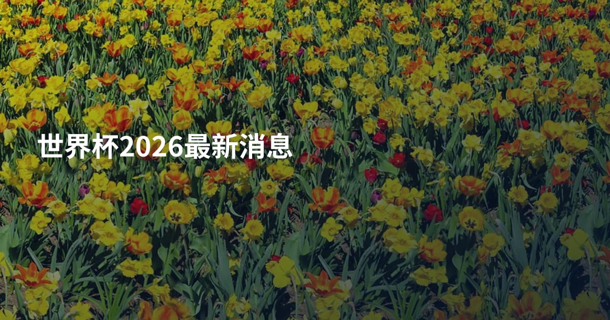 世界杯2026最新消息