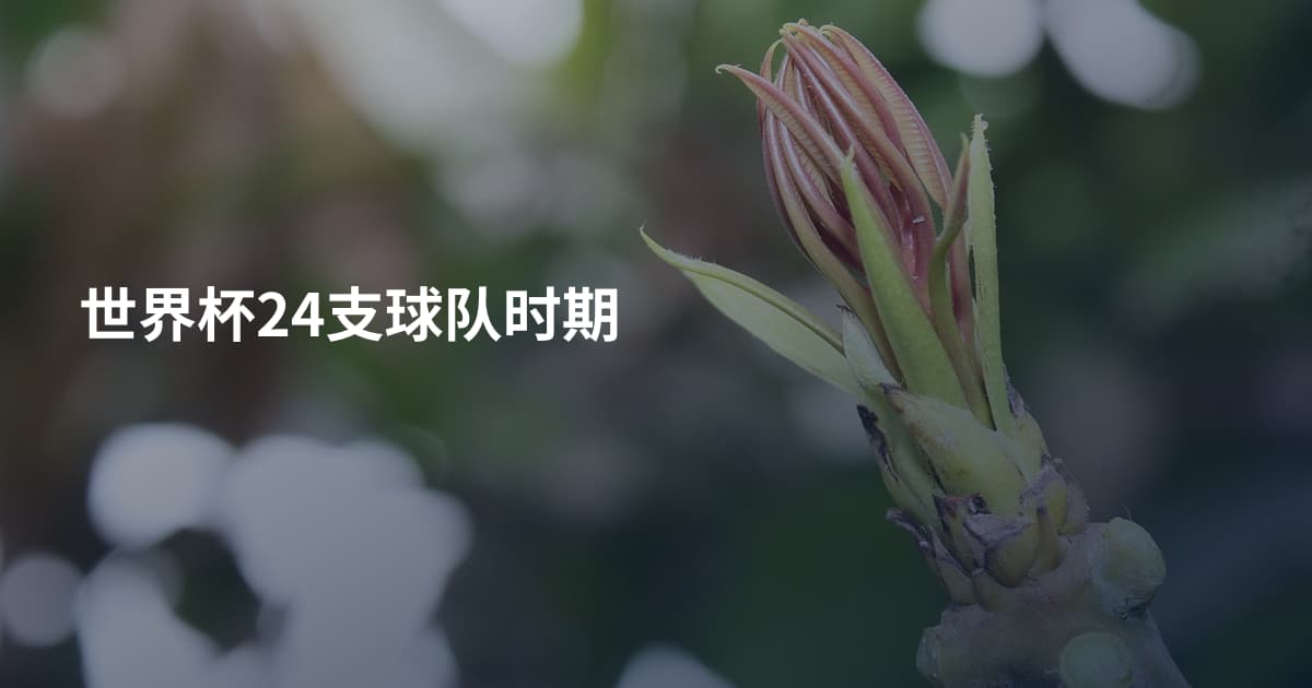 世界杯24支球队时期