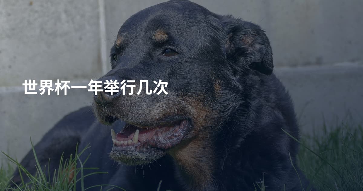 世界杯一年举行几次