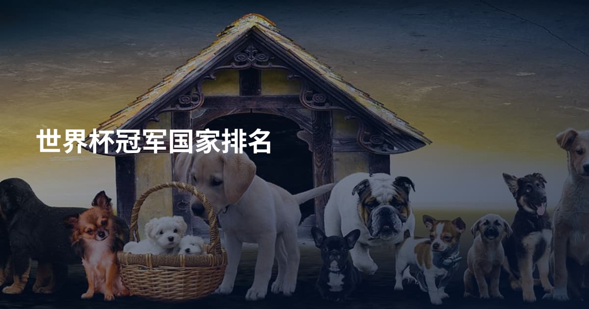 世界杯冠军国家排名
