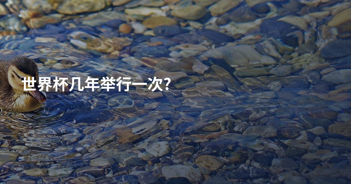 世界杯几年举行一次?