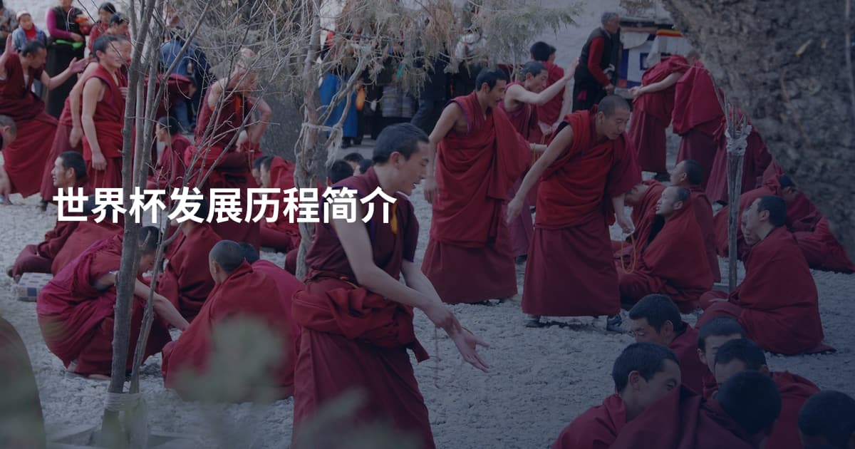 世界杯发展历程简介