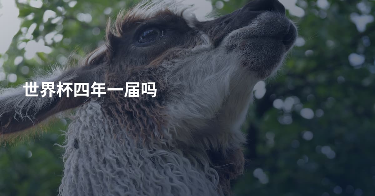 世界杯四年一届吗