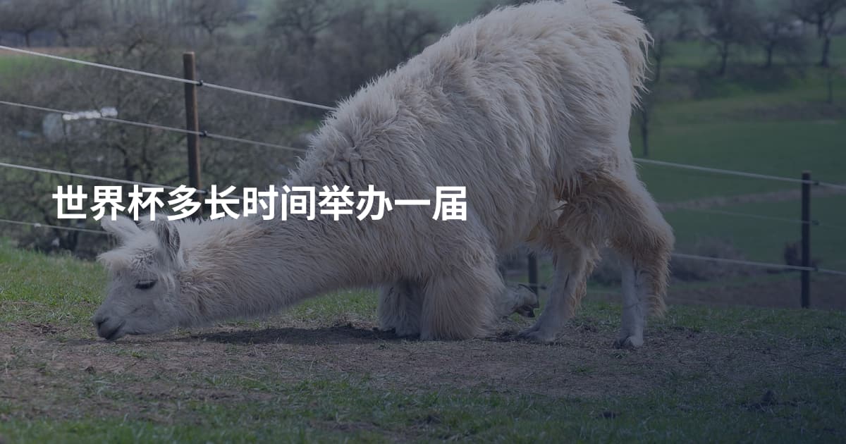 世界杯多长时间举办一届