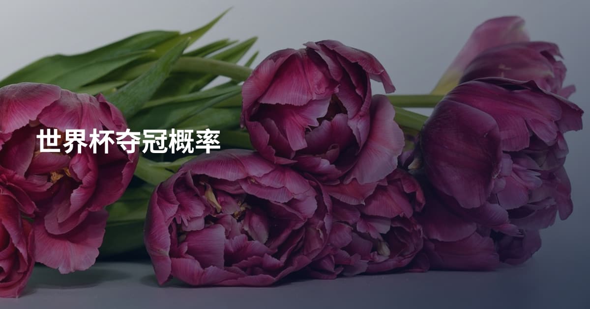 世界杯夺冠概率