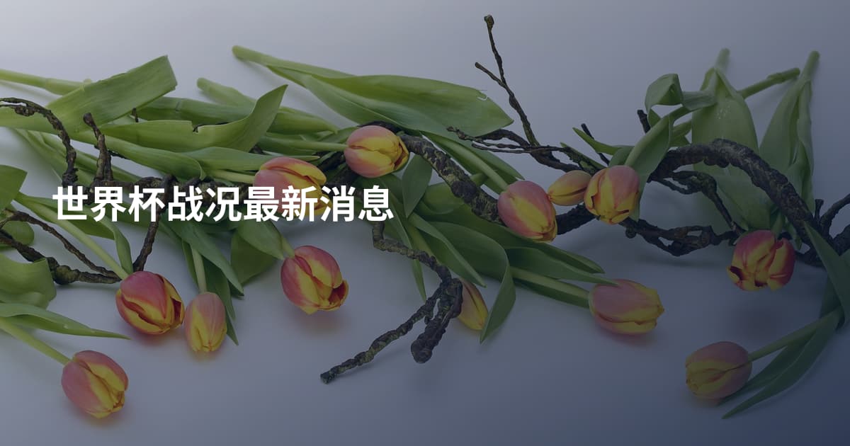 世界杯战况最新消息