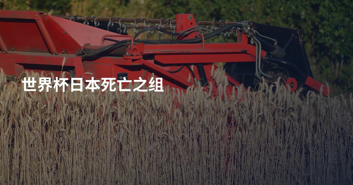 世界杯日本死亡之组