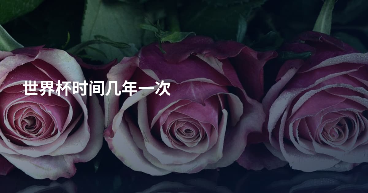 世界杯时间几年一次