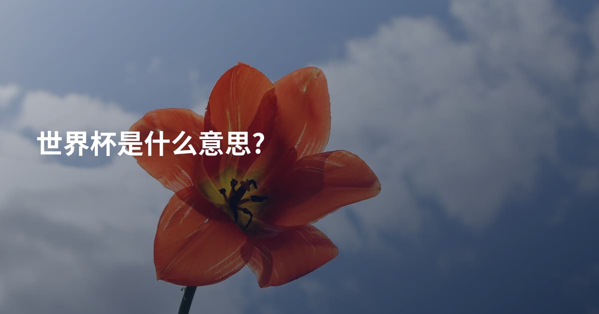 世界杯是什么意思?