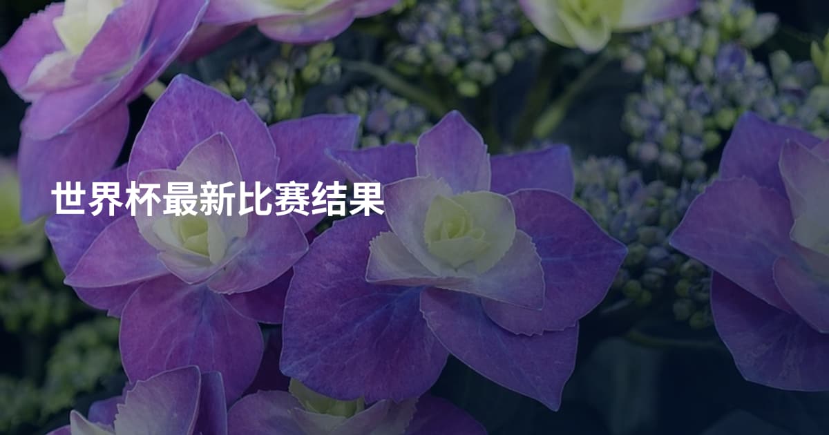 世界杯最新比赛结果