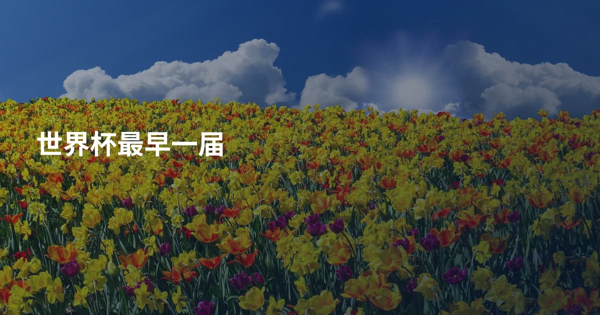 世界杯最早一届