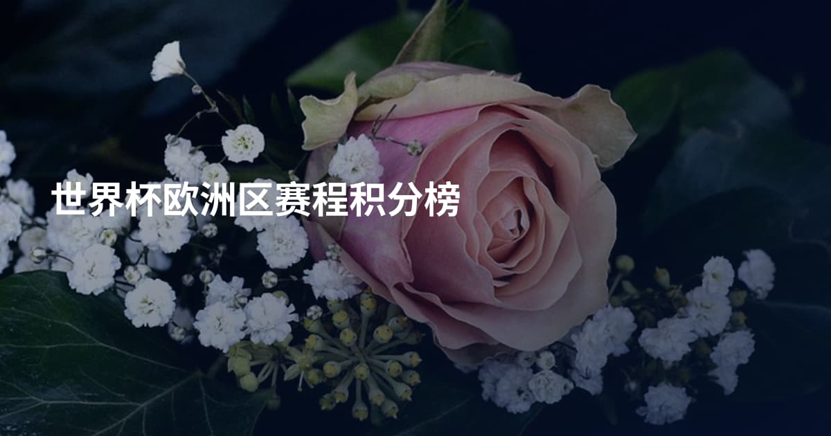 世界杯欧洲区赛程积分榜