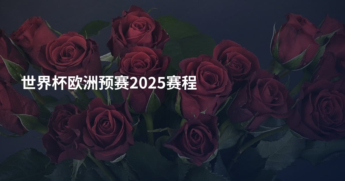 世界杯欧洲预赛2025赛程