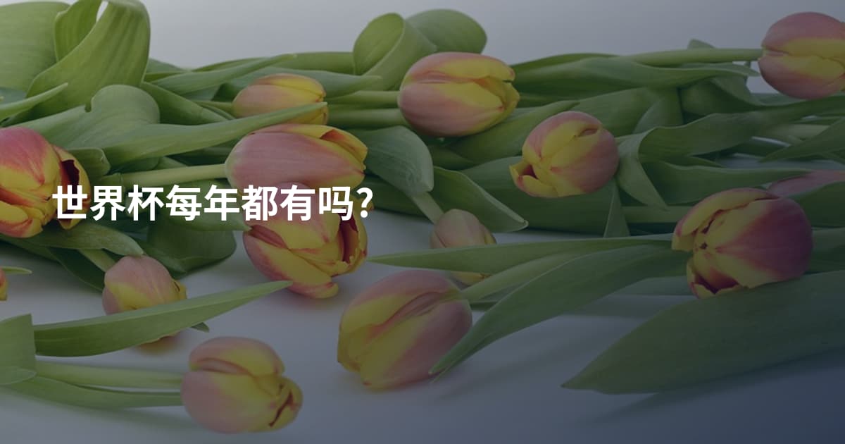 世界杯每年都有吗?