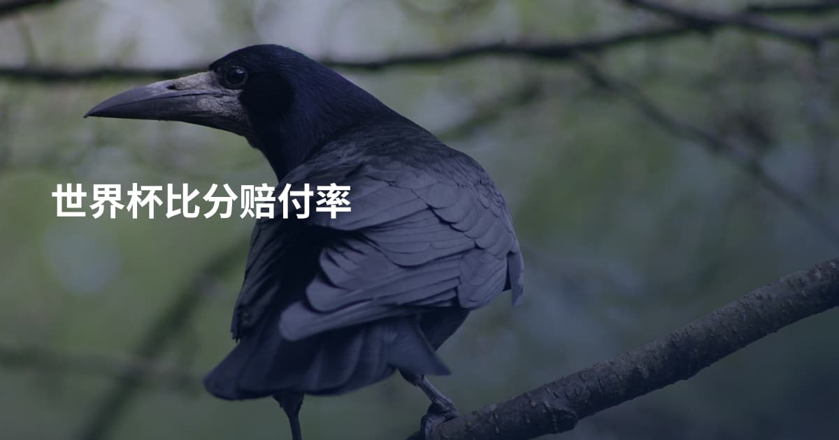 世界杯比分赔付率