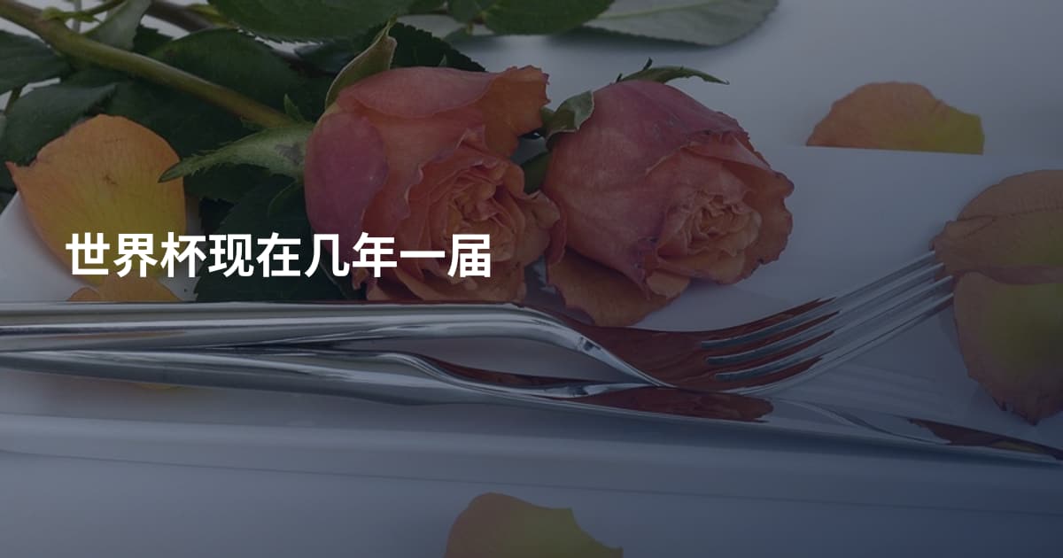 世界杯现在几年一届