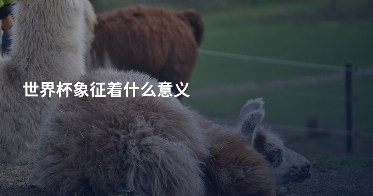 世界杯象征着什么意义