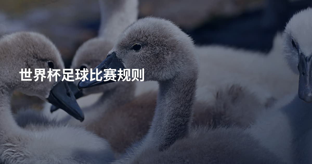 世界杯足球比赛规则