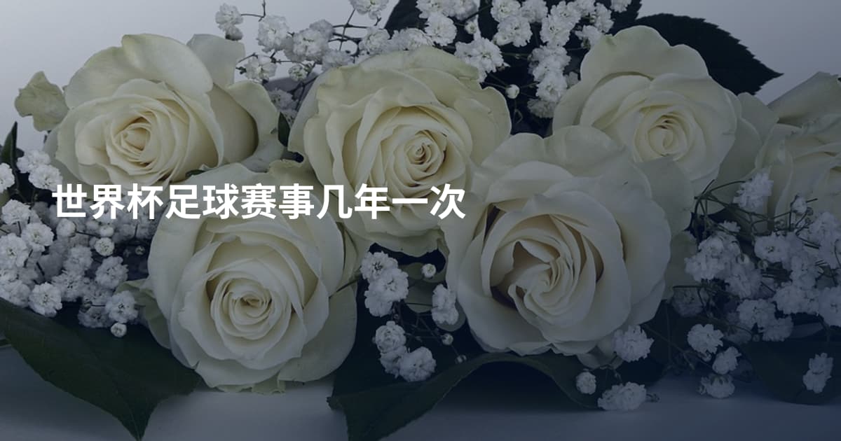世界杯足球赛事几年一次
