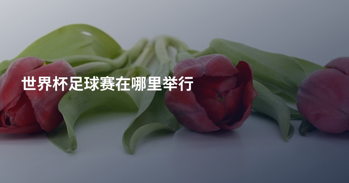 世界杯足球赛在哪里举行