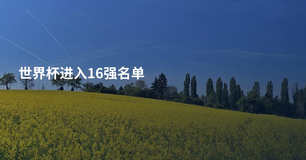 世界杯进入16强名单