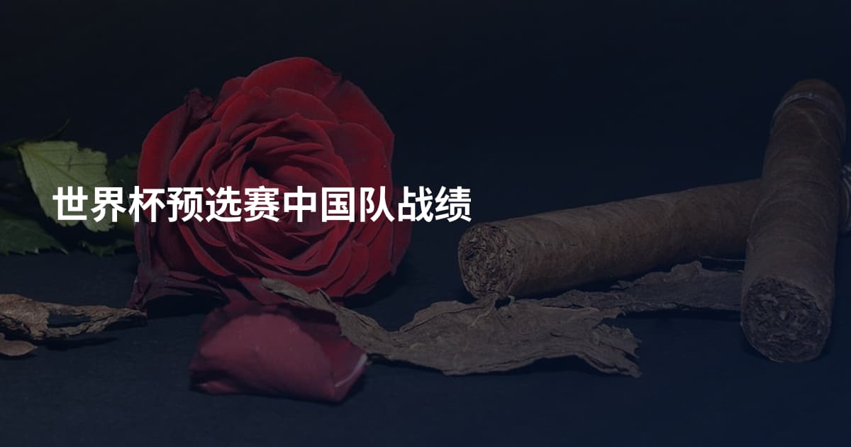 世界杯预选赛中国队战绩