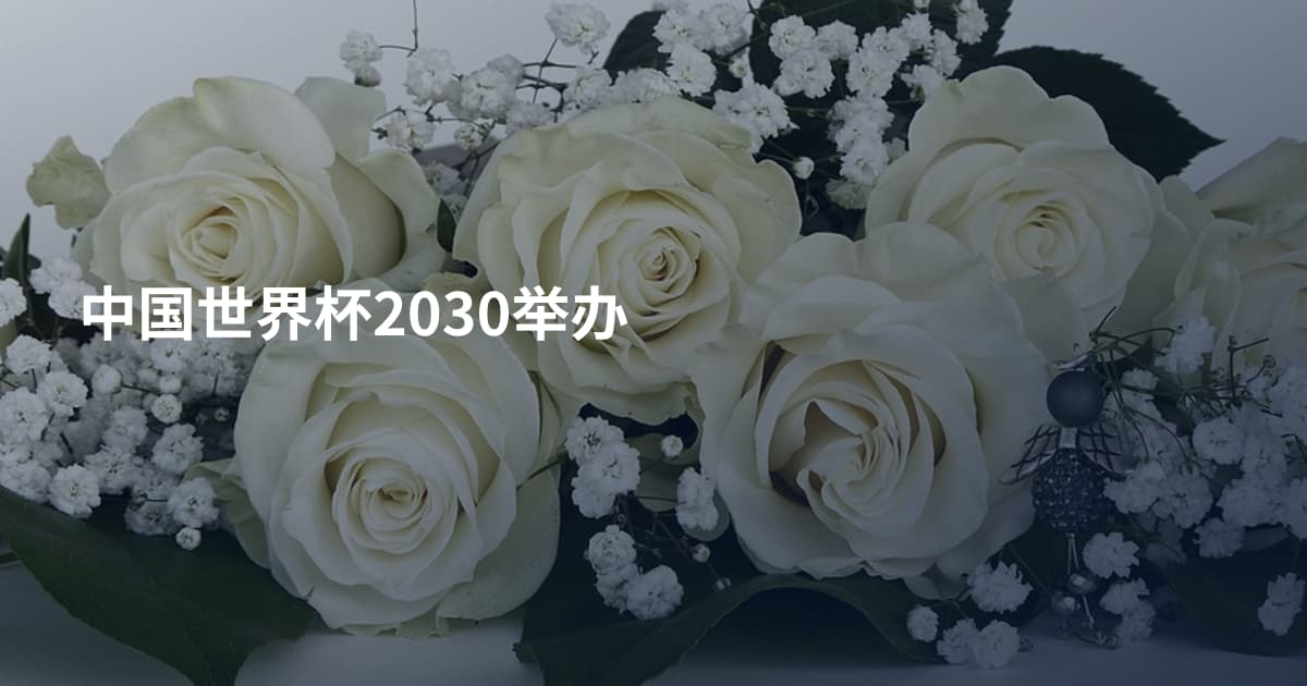 中国世界杯2030举办