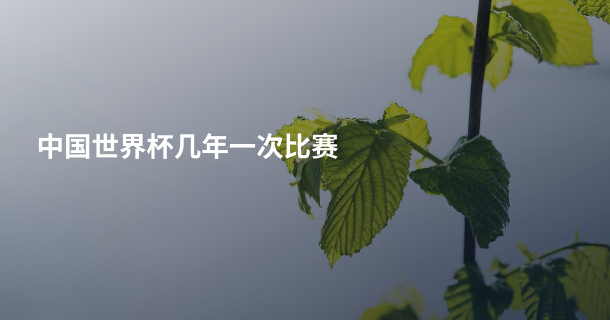 中国世界杯几年一次比赛
