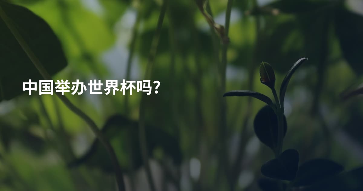 中国举办世界杯吗?