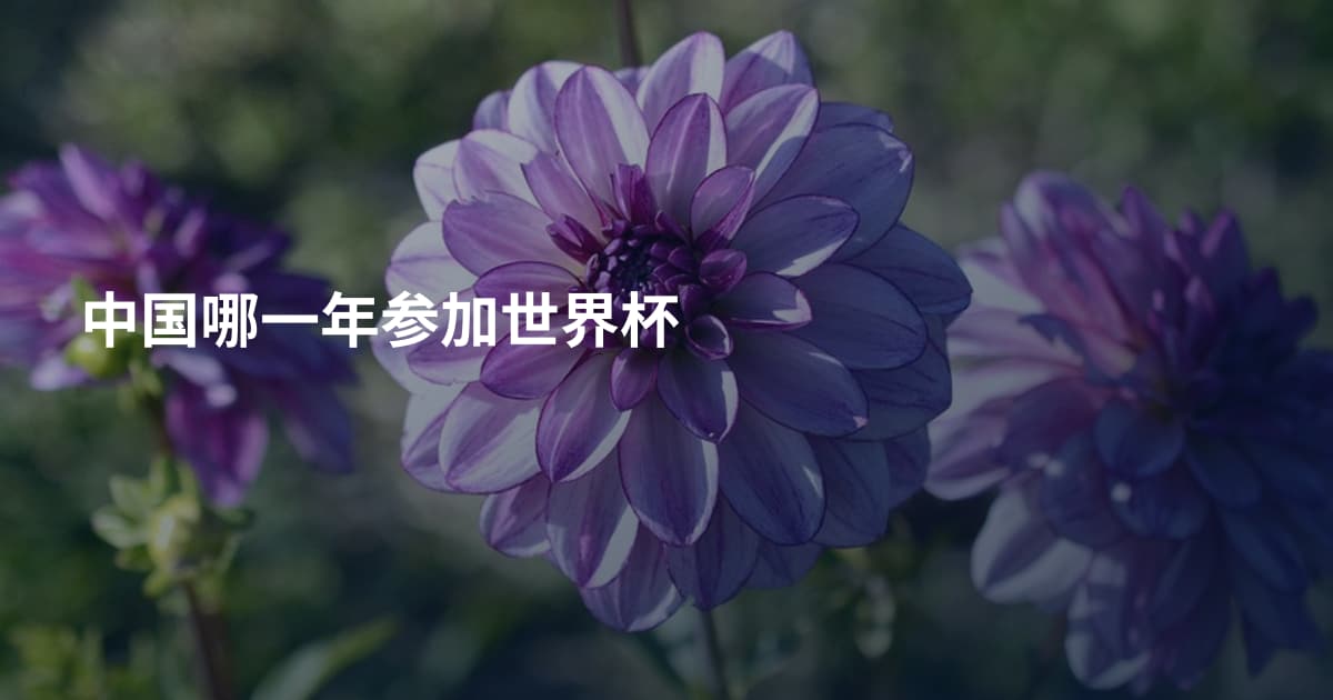 中国哪一年参加世界杯