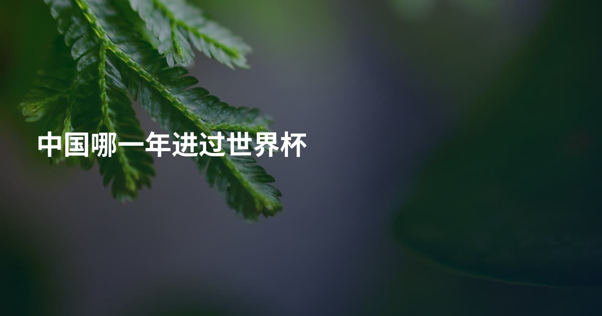中国哪一年进过世界杯