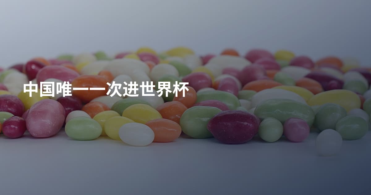 中国唯一一次进世界杯