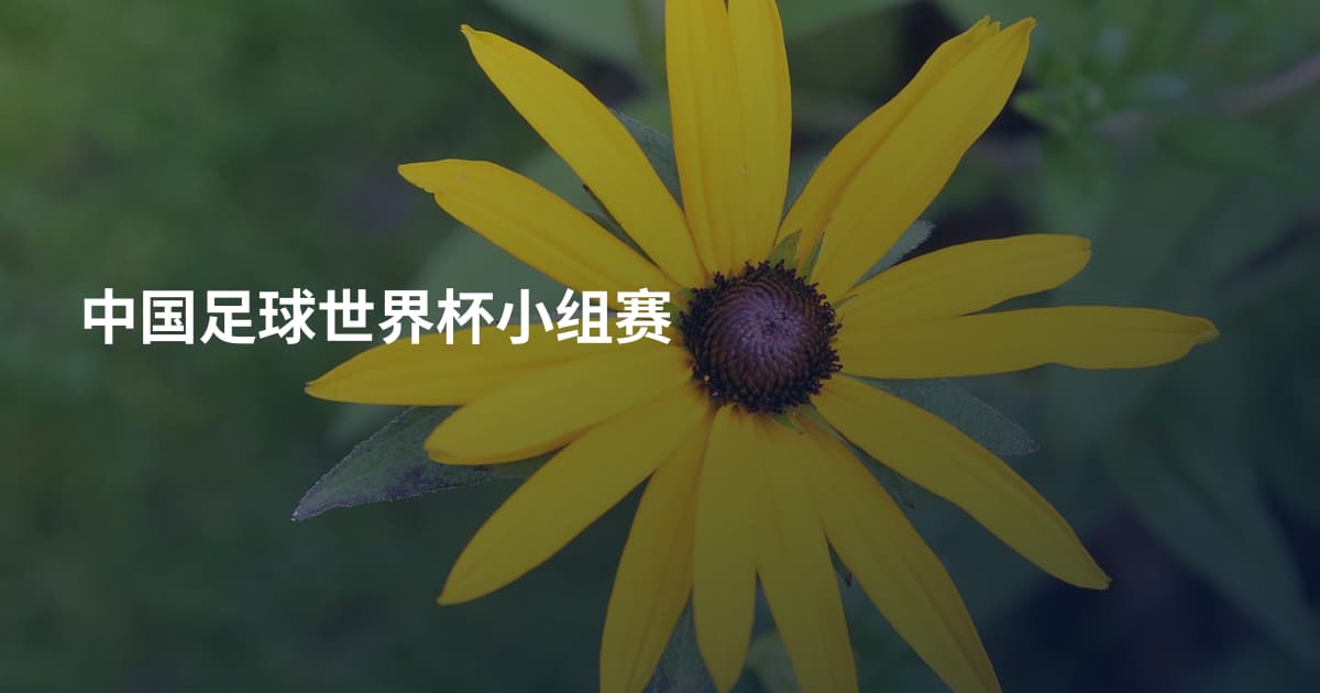 中国足球世界杯小组赛