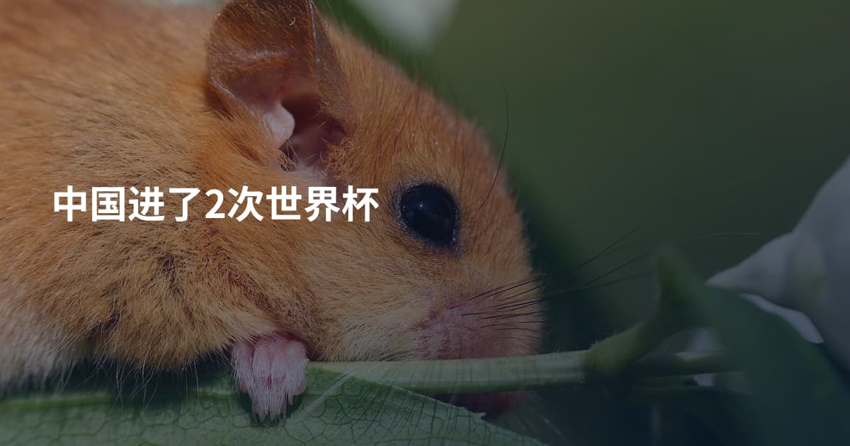 中国进了2次世界杯