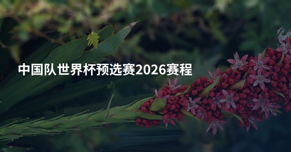 中国队世界杯预选赛2026赛程
