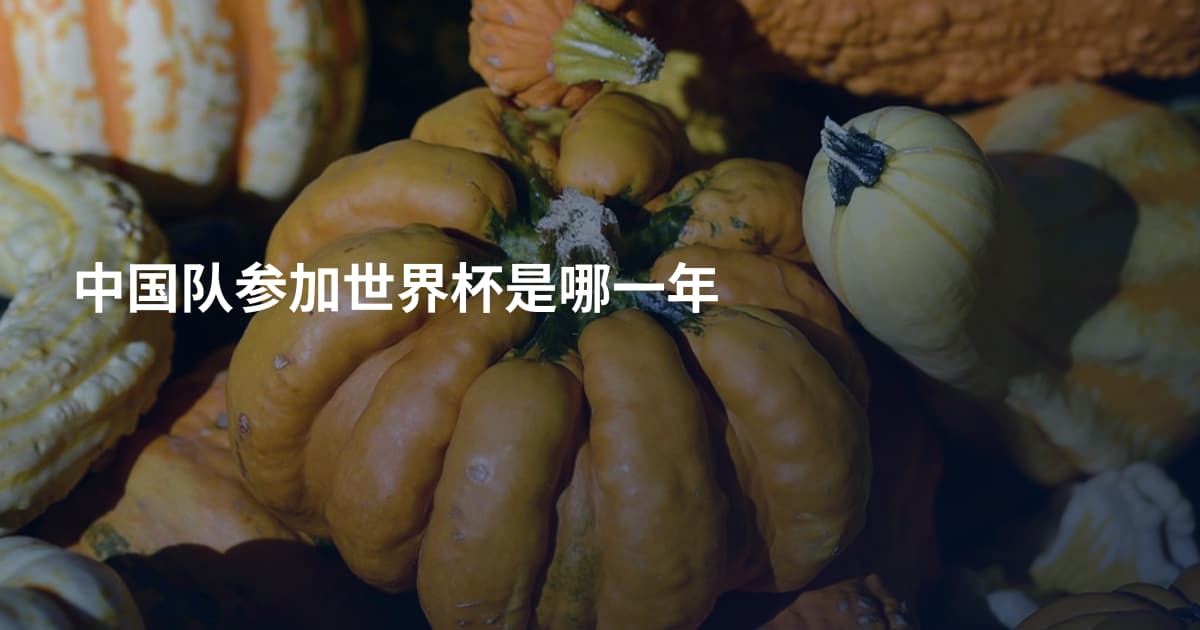 中国队参加世界杯是哪一年