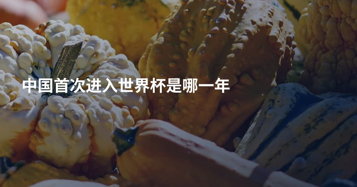中国首次进入世界杯是哪一年