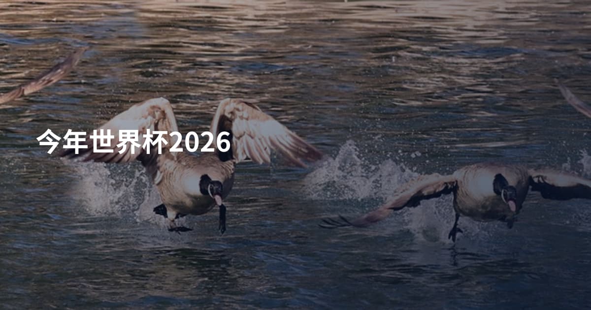 今年世界杯2026