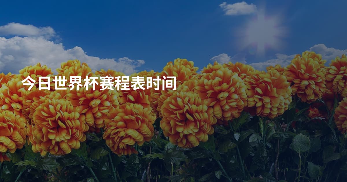 今日世界杯赛程表时间