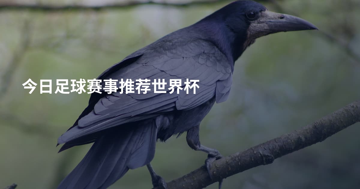 今日足球赛事推荐世界杯