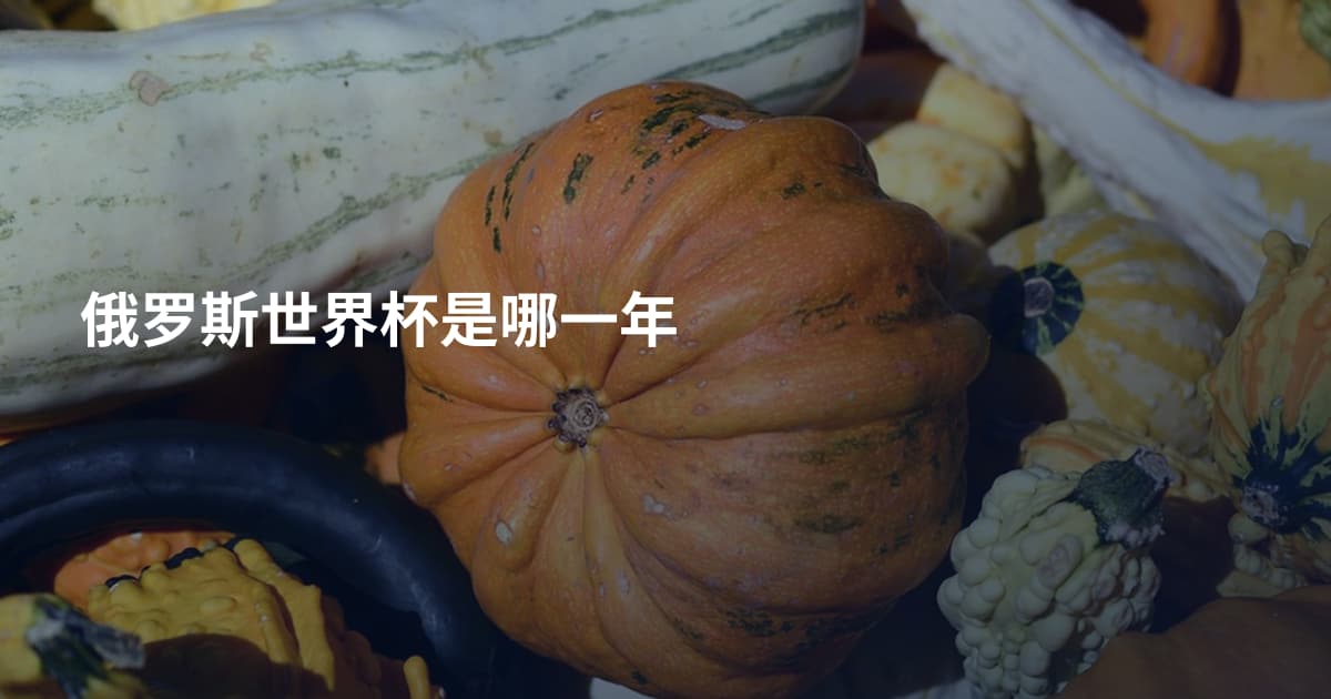 俄罗斯世界杯是哪一年