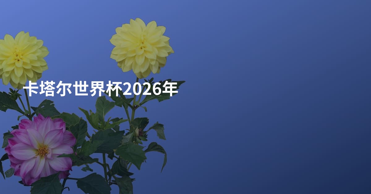 卡塔尔世界杯2026年